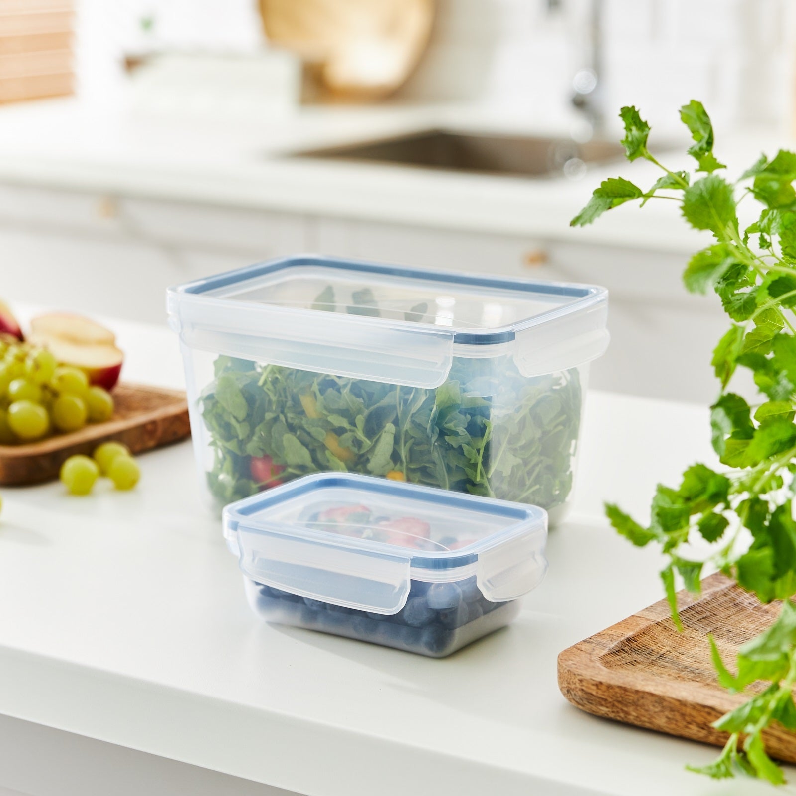 Rotho Clic & Lock Food Keeper 3 L