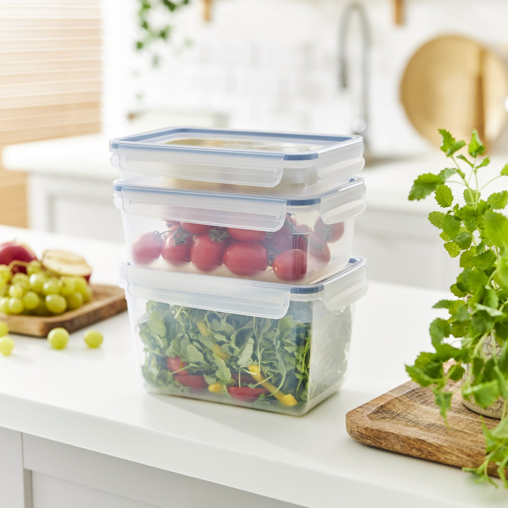 Rotho Clic & Lock Food Keeper 3 L